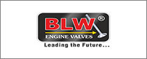 BLW ENGINE VALVES PVT LTD