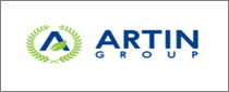 Artin group