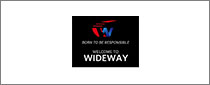 Shandong Wideway Tire Co.,Ltd