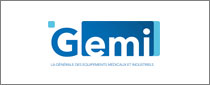 GEMI INTERNATIONAL