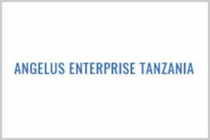 ANGELUS ENTERPRISE TANZANIA WILL BE EXHIBITING AT TANZANIA'S PRESTIGIOUS 10TH MINEXPO TANZANIA 2026 26th medexpo kenya 2026