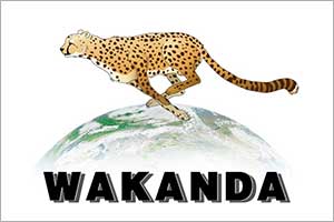YIWU WAKANDA MEDICAL INSTRUMENT CO., LTD WILL EXHIBIT AT THE 27TH MEDEXPO TANZANIA 2026