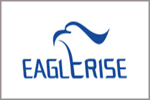 EAGLERISE ELECTRIC &amp; ELECTRONIC (CHINA) CO., LTD. IS READY TO EXPLORE THE LUCRATIVE EAST AFRICAN MARKET AT THE 10TH POWER &amp; ENERGY TANZANIA 2026