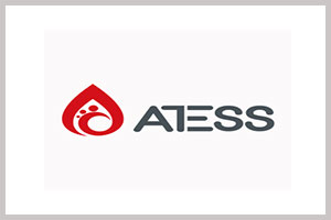   SHENZHEN ATESS POWER TECHNOLOGY CO LTD SECURES A STAND AT THE 10TH POWER &amp; ENERGY TANZANIA 2026