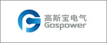 SHENZHEN GOSPELL DIGITAL TECHNOLOGY CO., LTD 