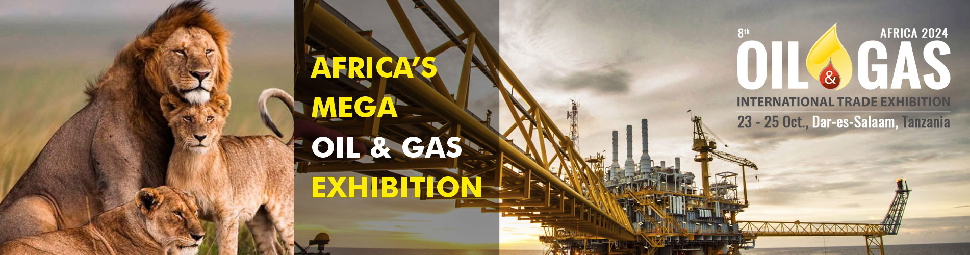OIL & GAS Tanzania 2024 - International OIL & GAS Show Africa