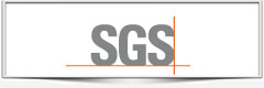 SGS INDIA PVT LTD