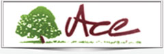 ACE GROUP / PK MARKETING