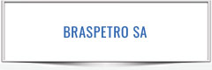 BRASPETRO SA