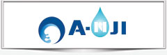 ANCHORSAFESYS COMPANY LIMITED
