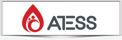 Shenzhen ATESS Power Technology Co.,Ltd