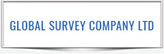 GLOBAL SURVEY COMPANY LTD 