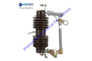 ZHEJIANG HAIVO ELECTRICAL CO., LTD.