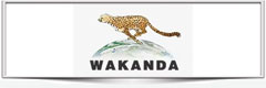 Yiwu Wakanda Medical Instrument Co.,Ltd